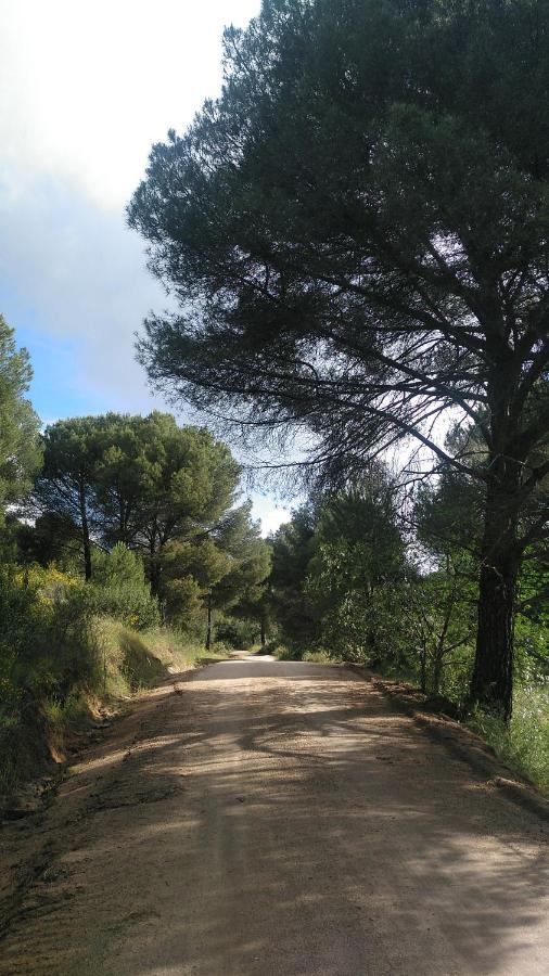 הוילה Andújar La Isabelita מראה חיצוני תמונה