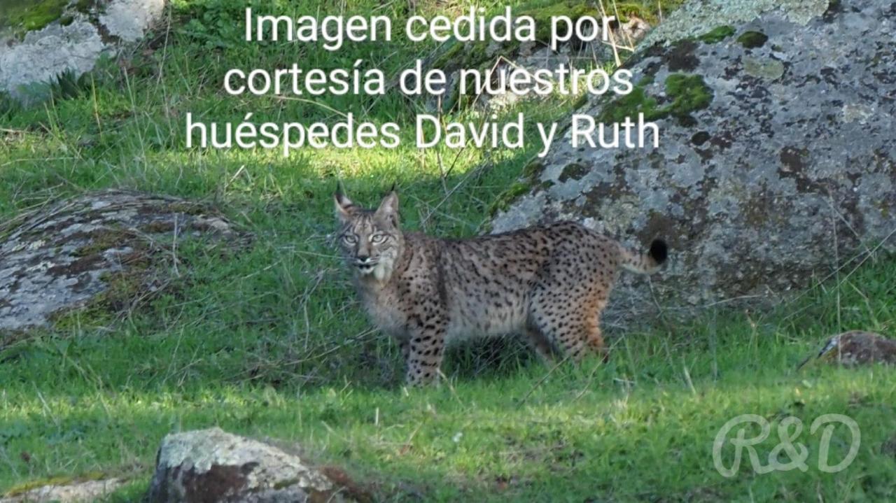 הוילה Andújar La Isabelita מראה חיצוני תמונה